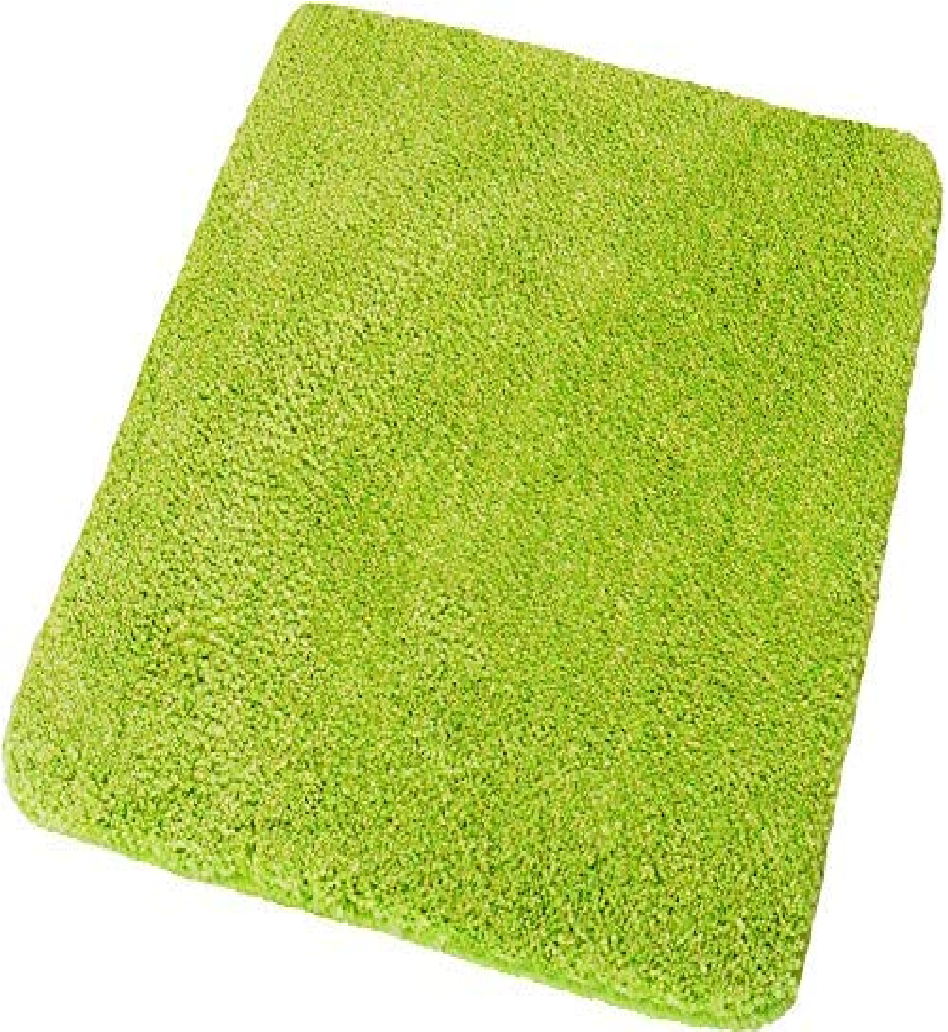 Wilna, Grün 50x 60 cm grün, 4004478274730